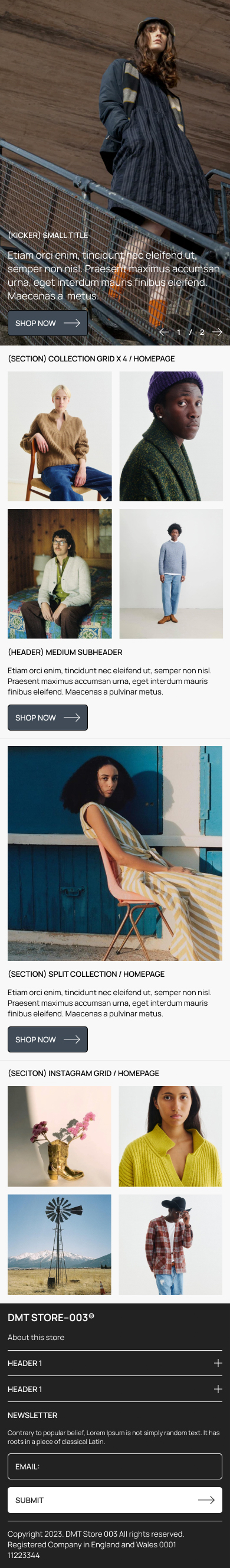 Image of Shopify Store UI Design, Store 003  - Fast Fashion, in-house work for Digital Media Team / Mobile size / Web Design / Layout / Concept / Responsive Design